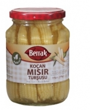 Berrak Msr Turusu