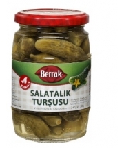 Berrak Salatalk Turusu