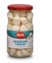 Berrak Sarmsak Turusu