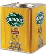 G�ng�r �izik Ye�il Zeytin