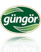 Gngr