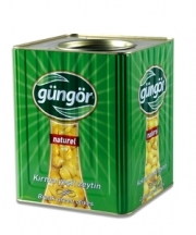 G�ng�r K�rma Ye�il Zeytin