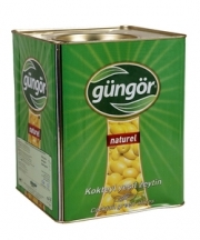 G�ng�r Kokteyl Ye�il Zeytin